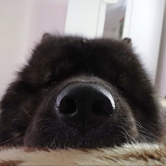 Meet your Posher! - Picture 7 of 8